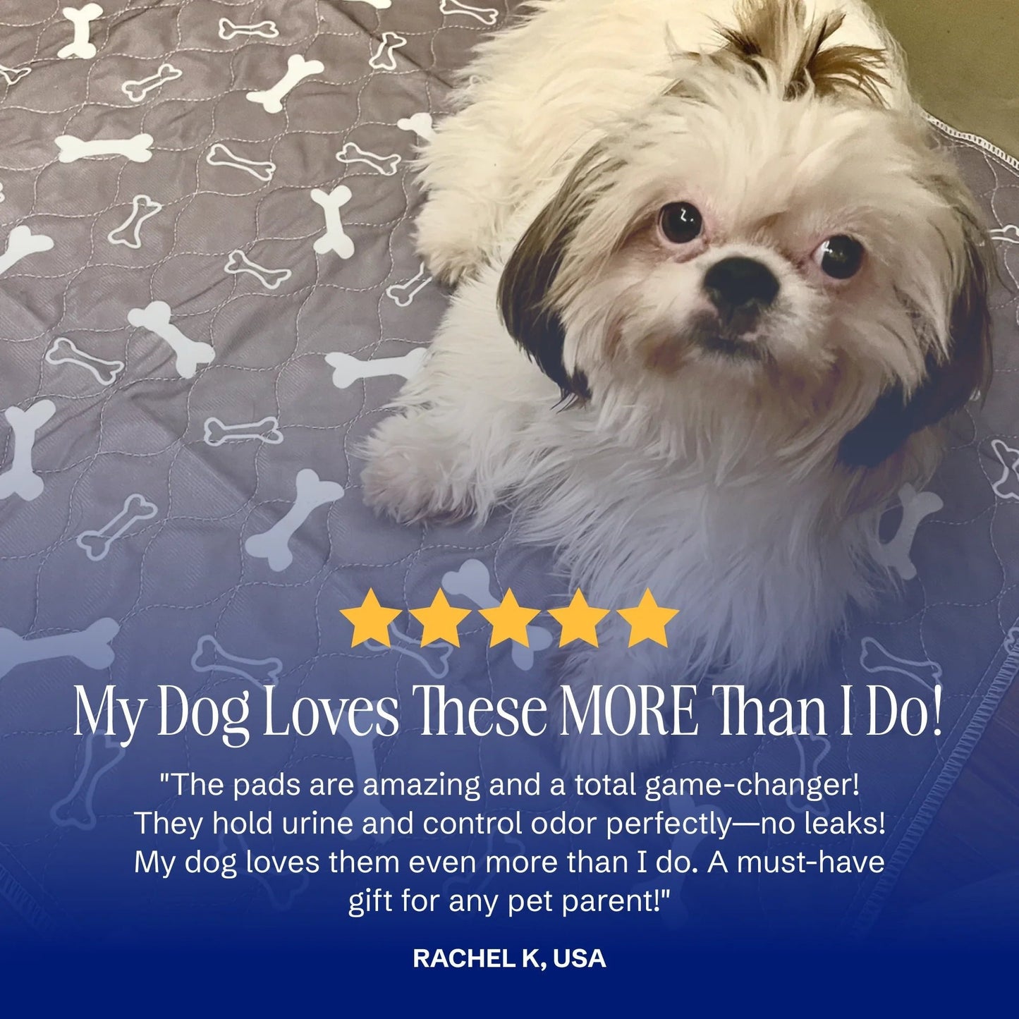 PuppyPad: stylish, super absorbent & reusable for a cleaner home.